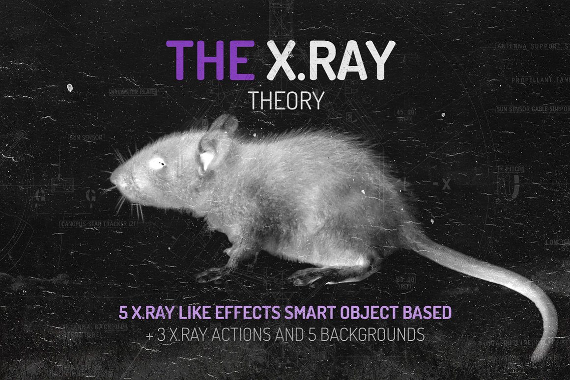 高质量X射线图像透视黑白特效PS动作素材 The X.RAY