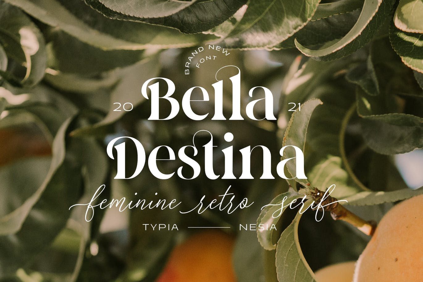 浪漫优雅的复古经典奢侈品牌婚礼邀请函排版英文字体 Bella