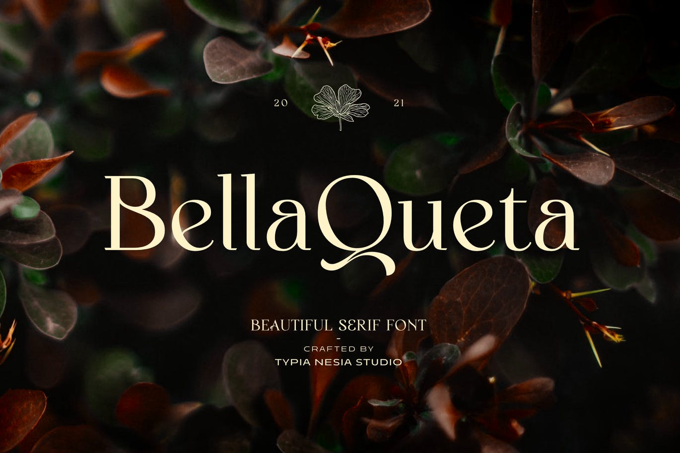 复古优雅经典的罗马衬线英文字体 Bella Queta -