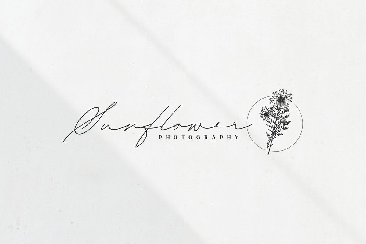 漂亮的钢笔手写签名英文字体 Rosemary Signatu