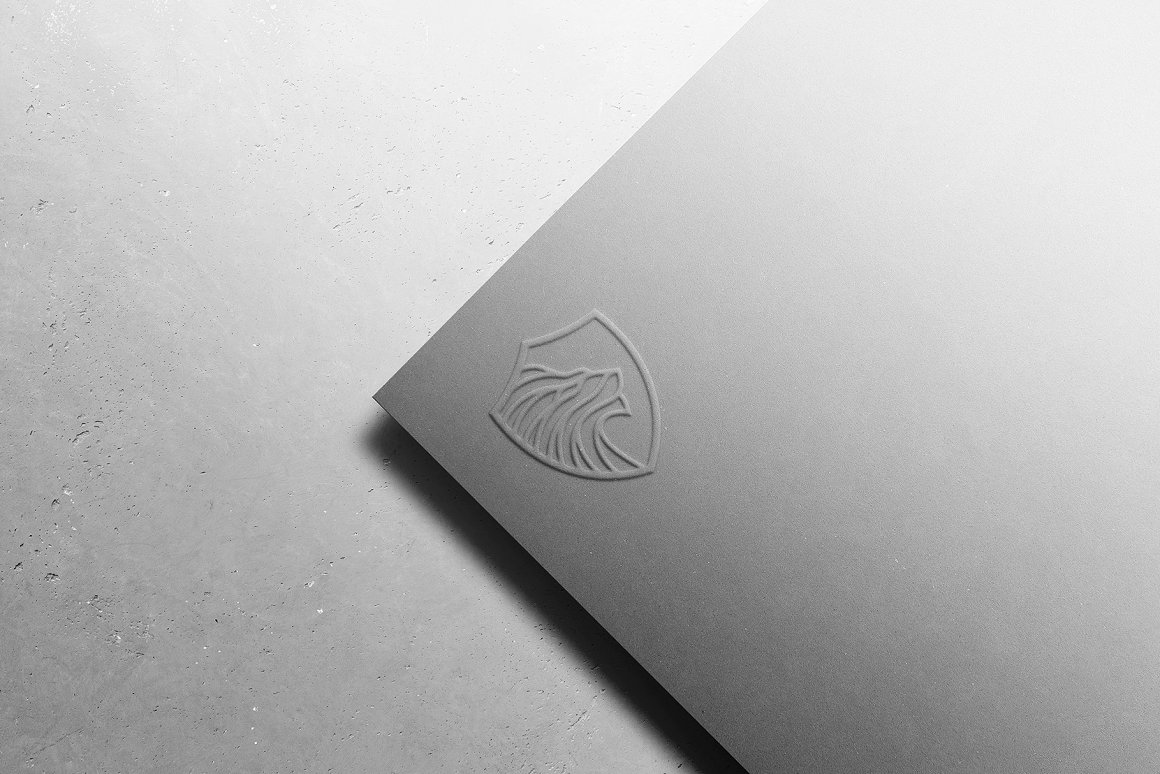 高品质UV压印烫金烫银工艺LOGO设计提案样机模板 Logo