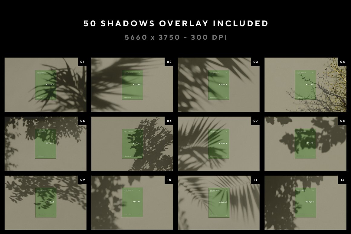 60套高级自然阳光植物光影品牌设计提案样机PSD模板 Sta
