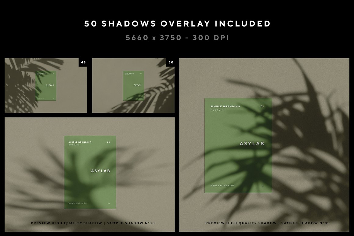 60套高级自然阳光植物光影品牌设计提案样机PSD模板 Sta