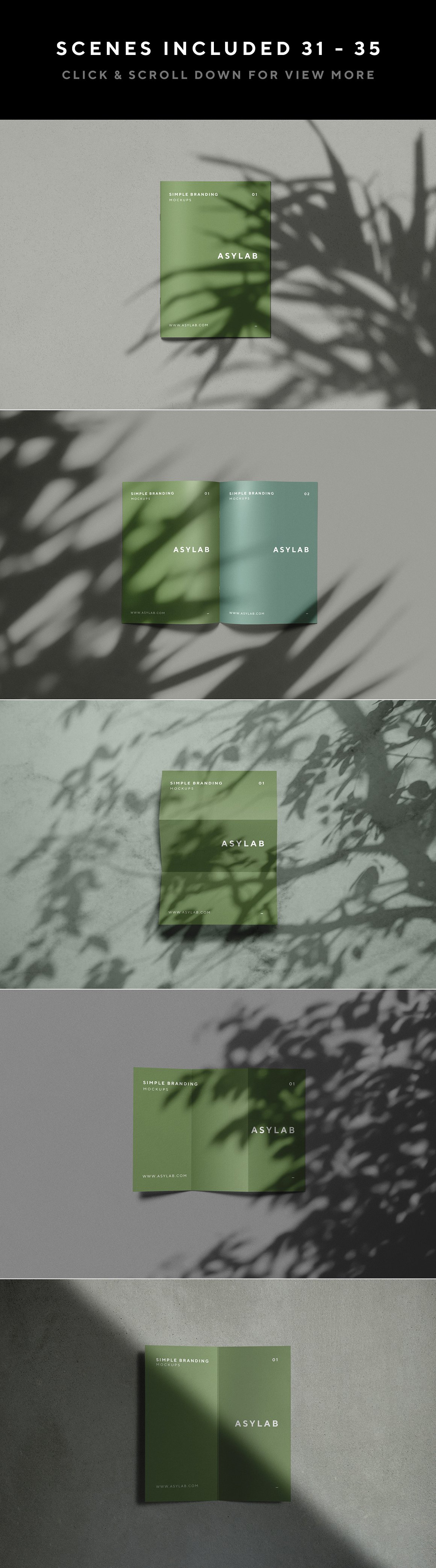 高级自然阳光植物光影品牌UI网页设计提案样机模板 100 B