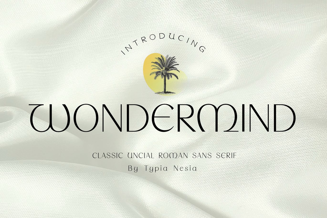 复古优雅罗马女性品牌衬线英文字体 Wondermind -