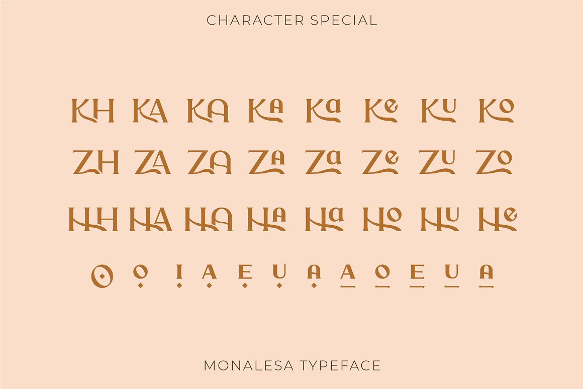 复古经典优雅的时尚衬线英文字体 Monalesa - New