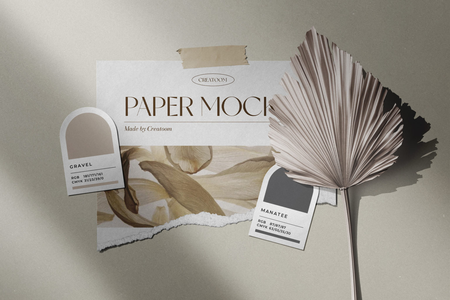 撕裂的纸张色卡干树枝品牌设计提案样机模板 Moodboard