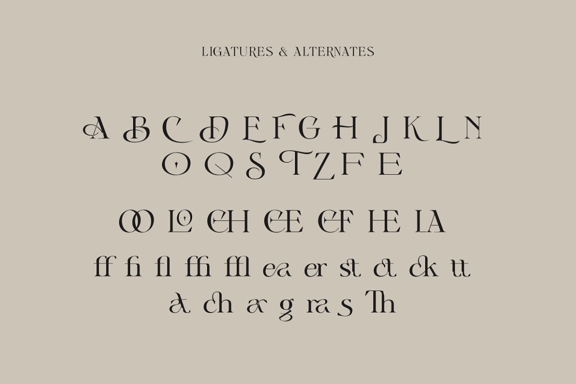 优雅的复古罗马装饰英文字体 Cigra - Stylist