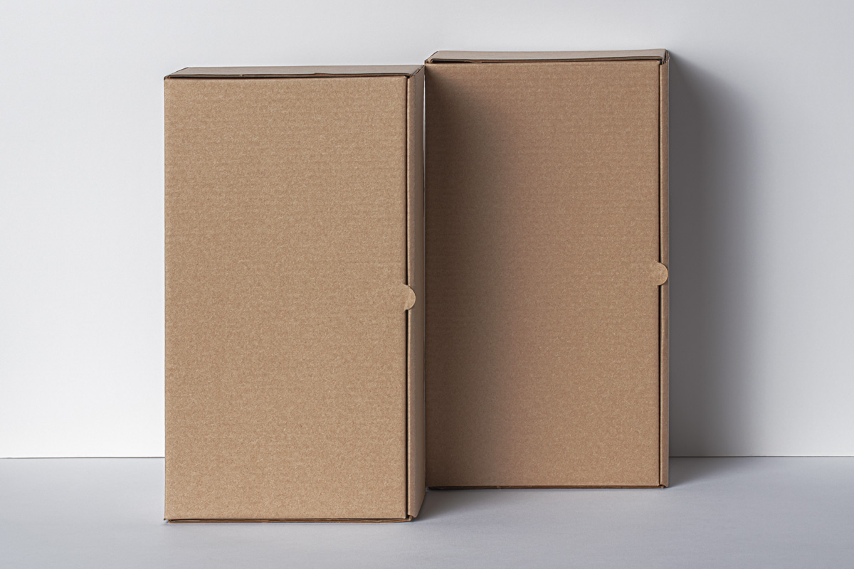 牛皮瓦楞纸快递盒包装设计展示样机模板 Rectangular