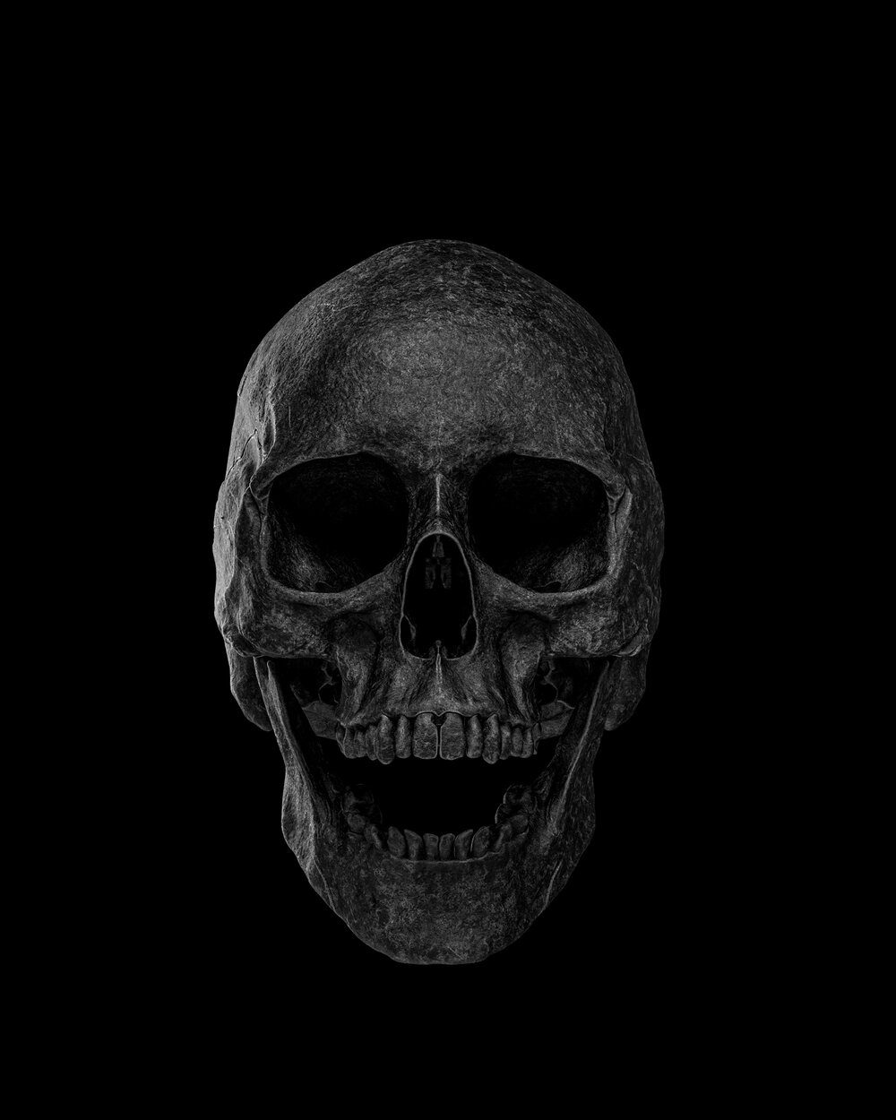 超高精度酷炫3D渲染骷髅头盖骨PNG免抠图 BILLELIS