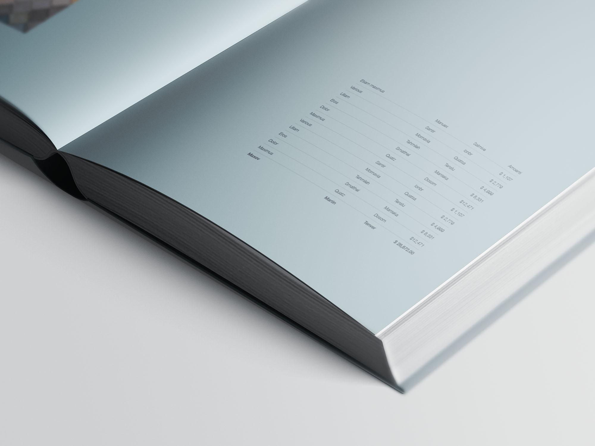 A4精装书籍封面内页设计贴图展示样机模板 Hardcover