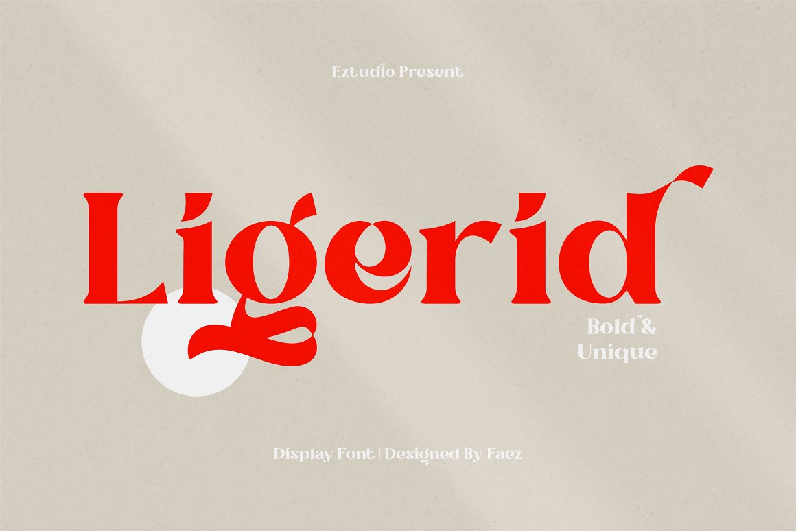 精美别致时尚的数字设计贺卡排版英文衬线字体 Ligerid