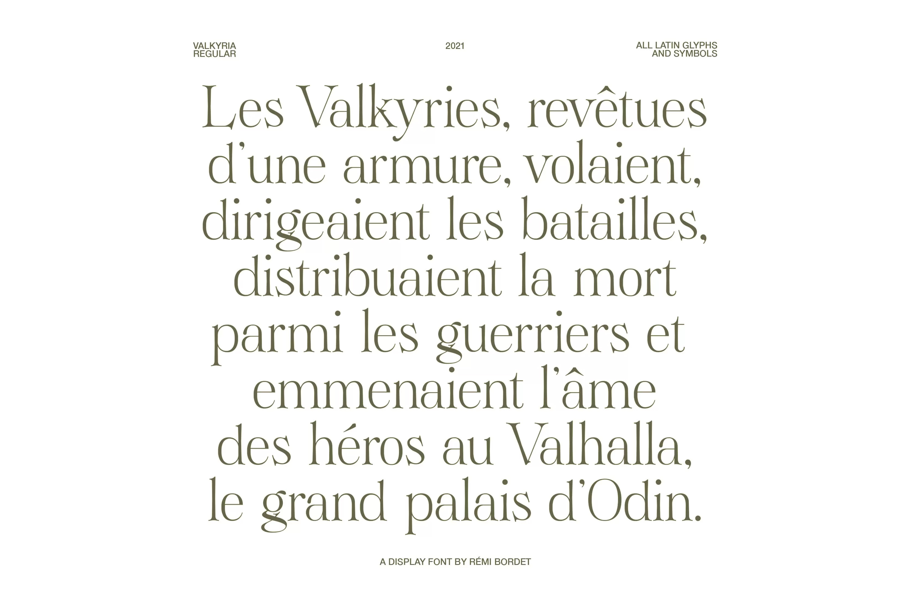 复古经典优雅的英文衬线字体 Valkyria Display