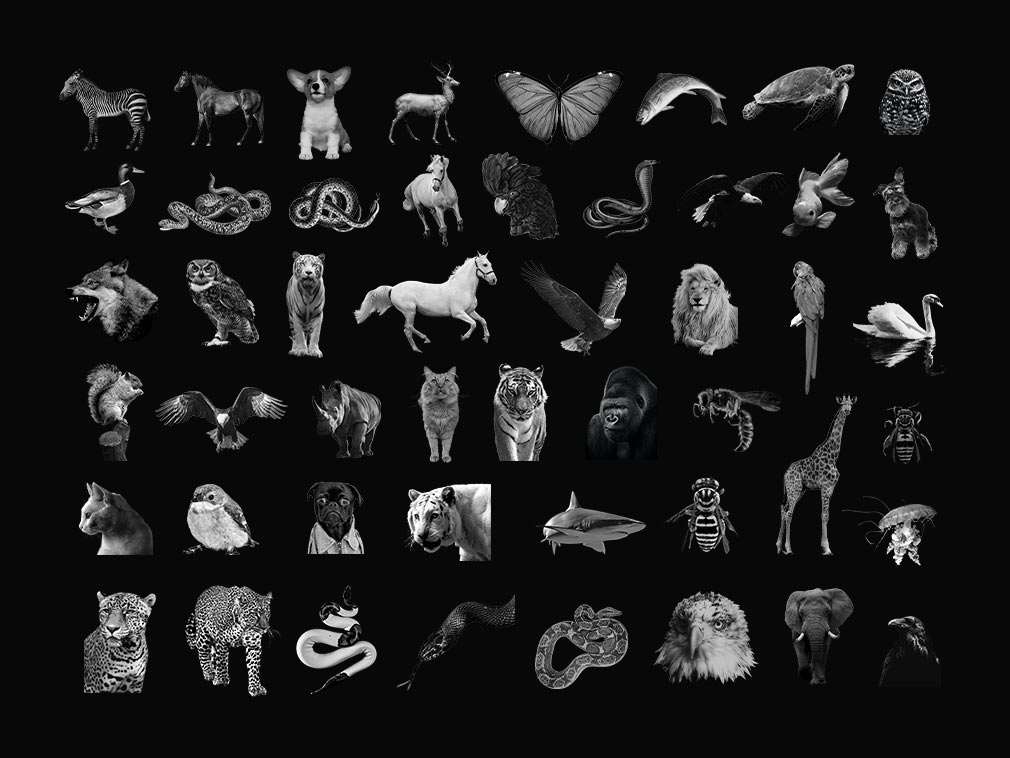 新复古酸性艺术雕塑动物透明薄膜贴纸胶带装饰元素合辑 WHYT