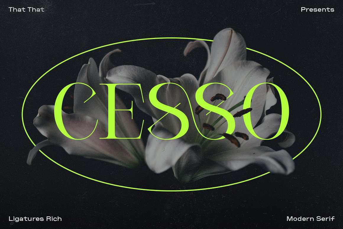 复古艺术创意品牌设计海报杂志排版英文衬线字体 Cesso: