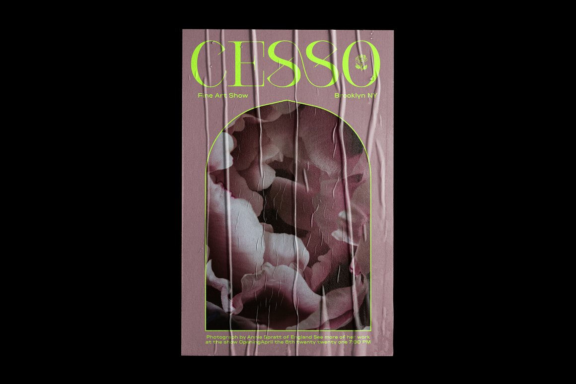 复古艺术创意品牌设计海报杂志排版英文衬线字体 Cesso: