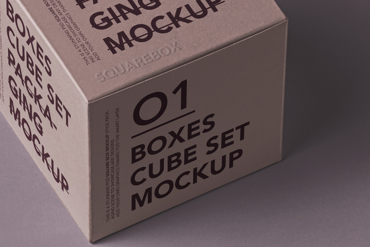正方形纸盒包装盒设计提案展示样机模板 Boxes Cube