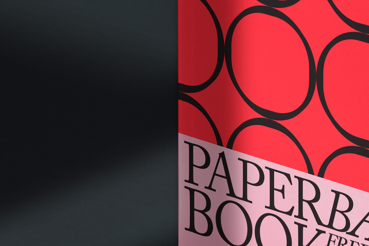 平装书封面设计贴图展示样机PSD模板 Paperback B