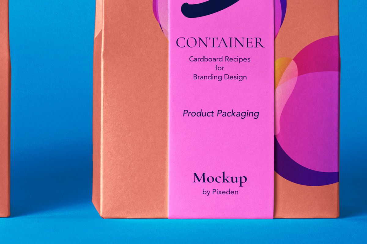 经典纸袋食品包装设计提案样机模板 Product Pack