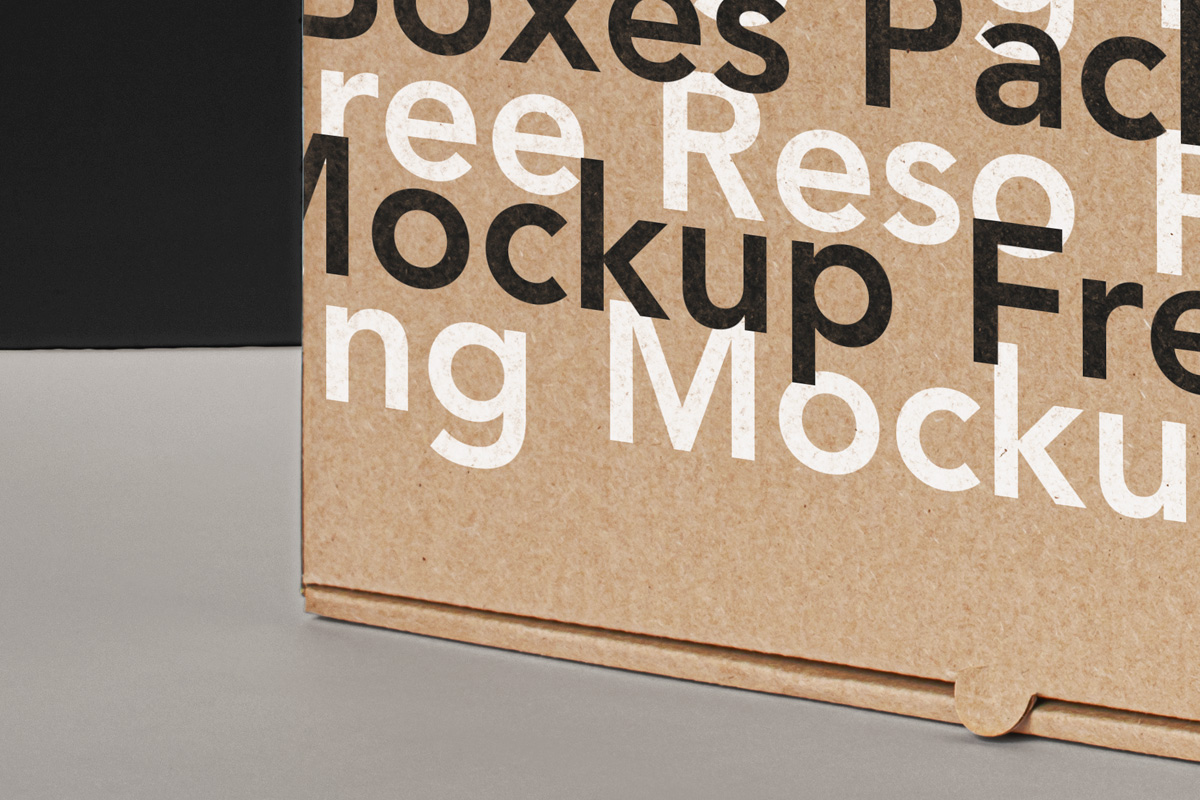 瓦楞纸纸箱快递箱包装盒设计提案展示样机模板 Rectangu