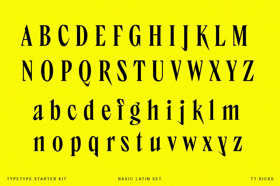 包装品牌设计书籍海报排版英文衬线字体 TypeType -
