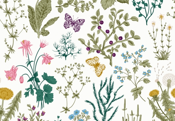 丰富多彩的复古无缝花卉草本植物野花矢量图案插图Vector